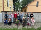 Obrázek v galerii